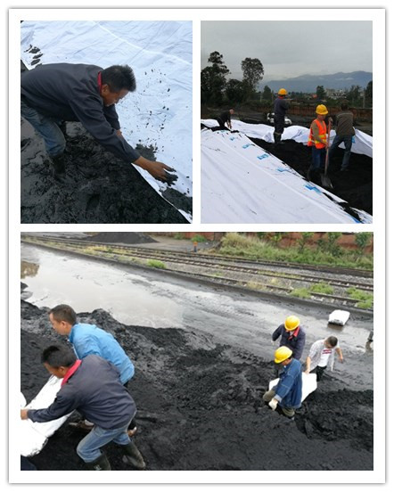 確保物資安全，通宇物流在行動(dòng)(圖1)