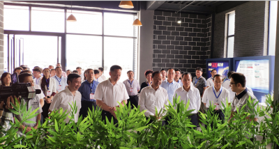 市委書記馬波率隊(duì)到川威連界區(qū)域現(xiàn)場(chǎng)調(diào)研