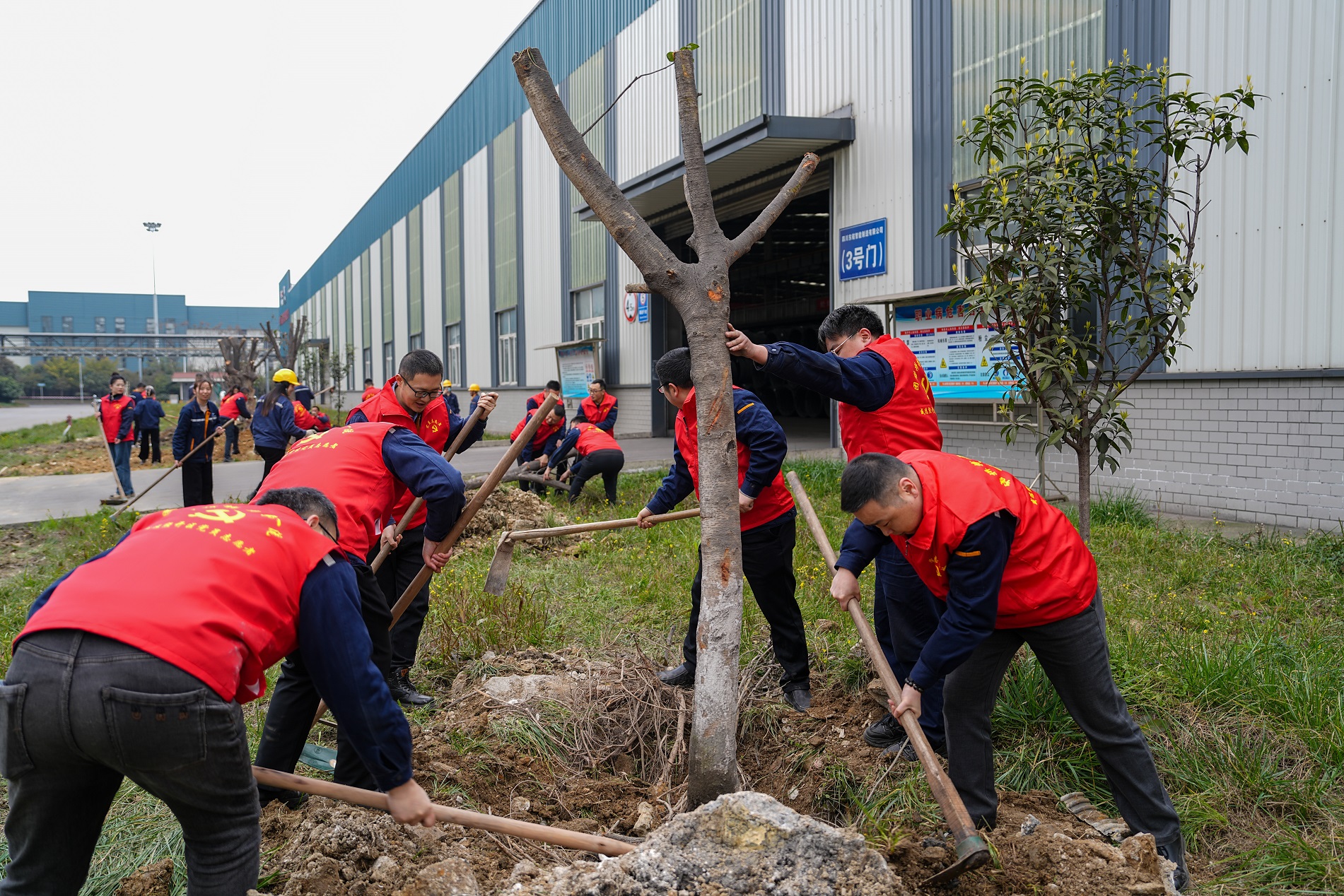 打造綠色川威 共建美好家園——釩鈦科技組織開展植樹節(jié)系列活動(圖2)